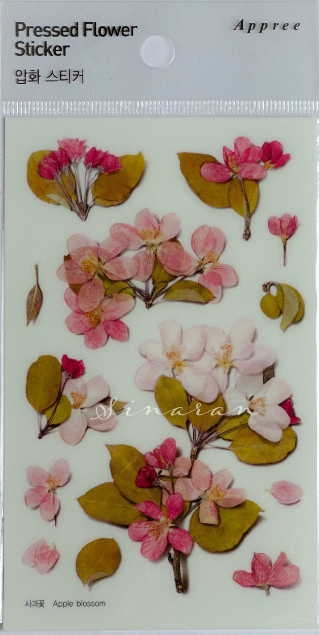 Appree Pressed Flower Sticker - Apple Blossom