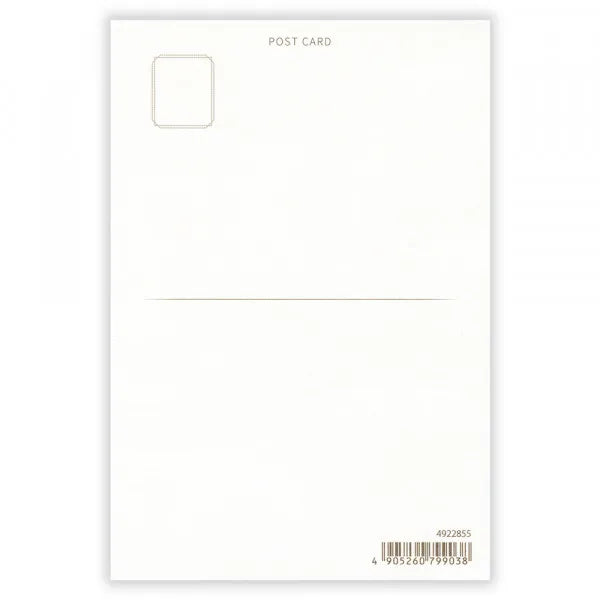 NB Co., Ltd. Postcard - Forest Night