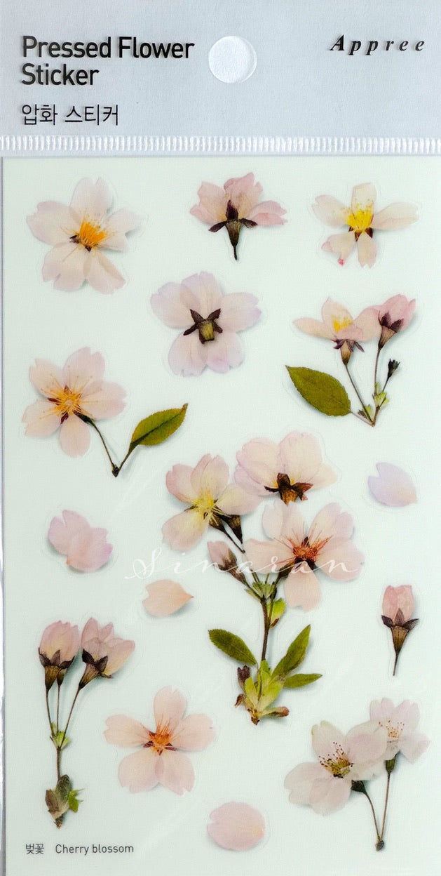 Appree Pressed Flower Sticker - Cherry Blossom