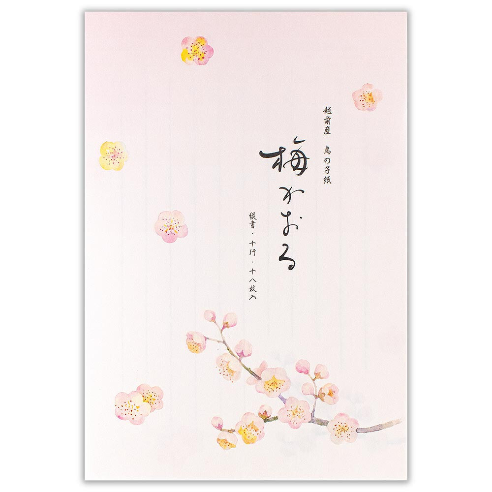 NB Co., Ltd. Washi Writing Paper (B5) - Ume
