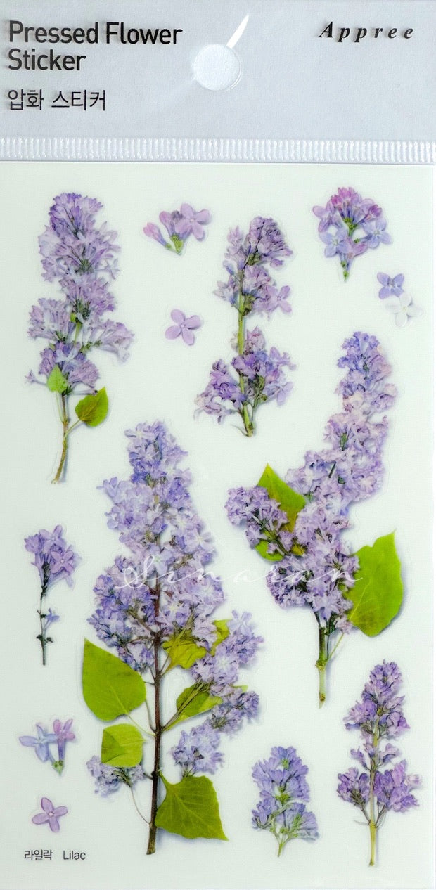 Appree Pressed Flower Sticker - Lilac