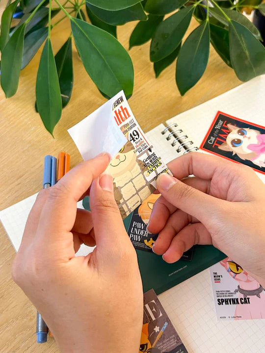 Loka Made Adventure Seals - Meowgazine