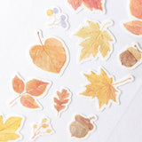 NB Co., Ltd. Washi Stickers - Autumn Leaves