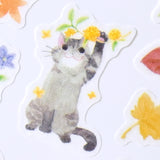 NB Co., Ltd. Washi Stickers - Nekorobi Warm Autumn