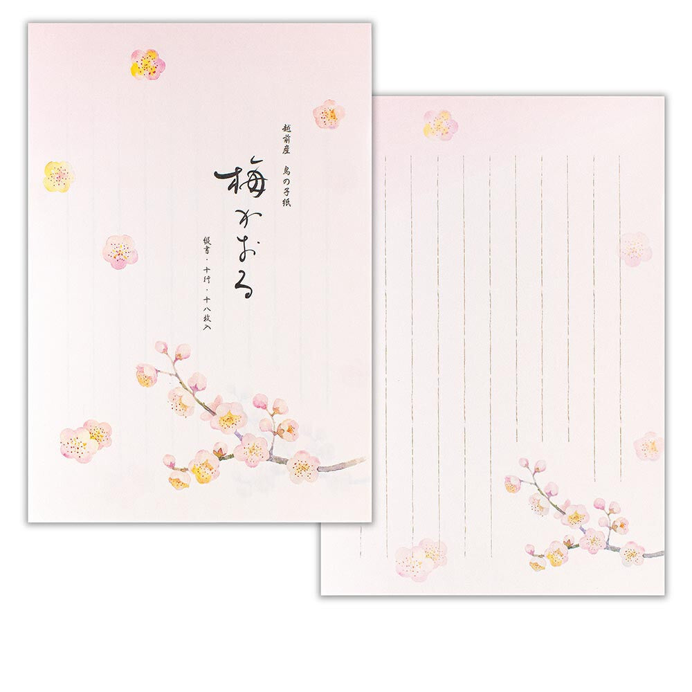 NB Co., Ltd. Washi Writing Paper (B5) - Ume