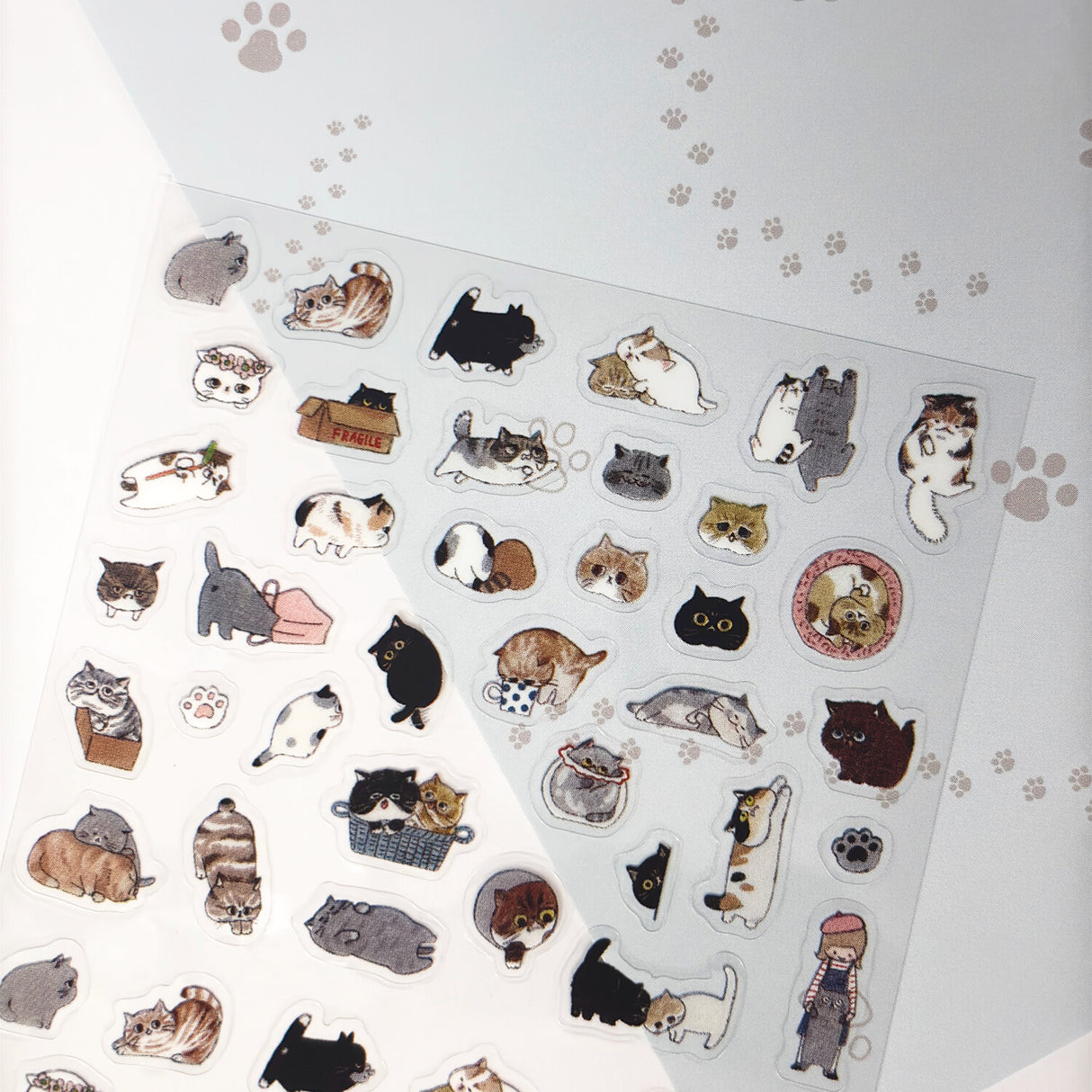 Seal-Do Seat Seal Collections Sticker - Exotic Shorthair